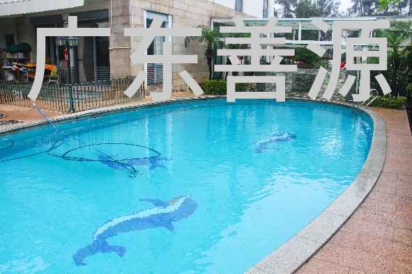 广东佛山东逸湾林宅私人泳池水处理系统设计施工